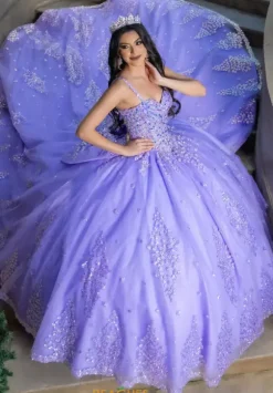 LizLuo Quinceanera 26086