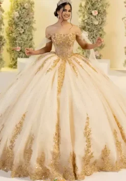 LizLuo Quinceanera 56560