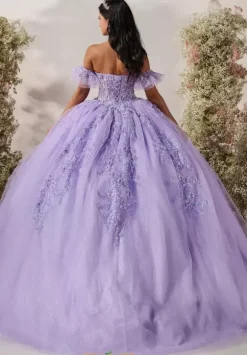 LizLuo Quinceanera 56545