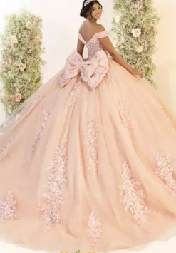 LizLuo Quinceanera 56556