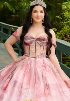 LizLuo Quinceanera 56520