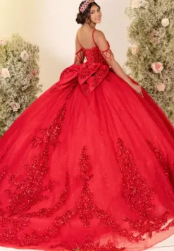 LizLuo Quinceanera 56563