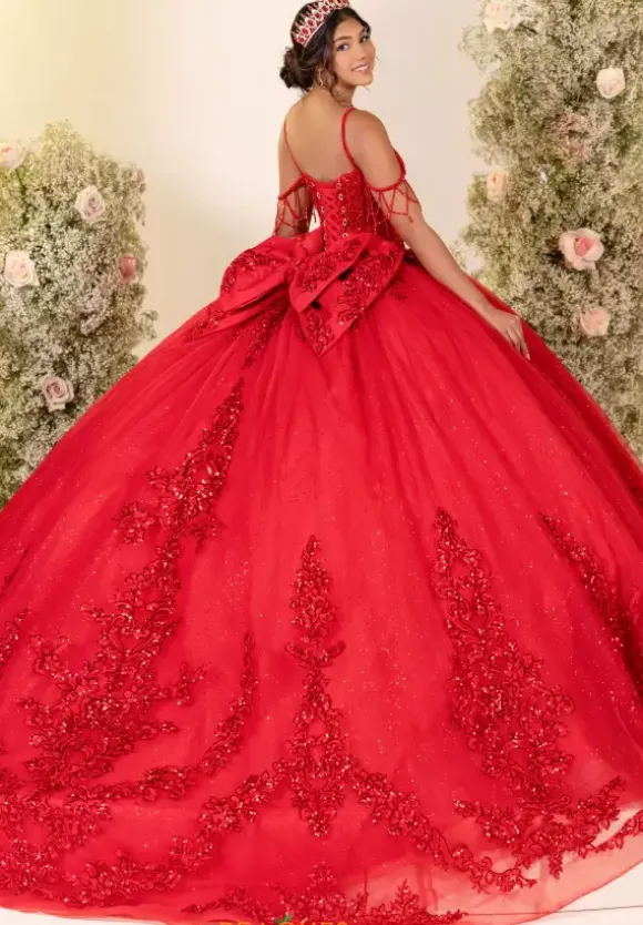 LizLuo Quinceanera 56563