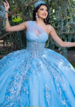 LizLuo Quinceanera 26089
