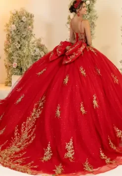 LizLuo Quinceanera 56559