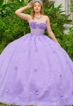 LizLuo Quinceanera 56512