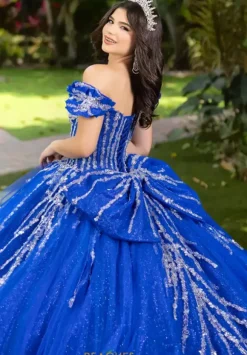 LizLuo Quinceanera 56535