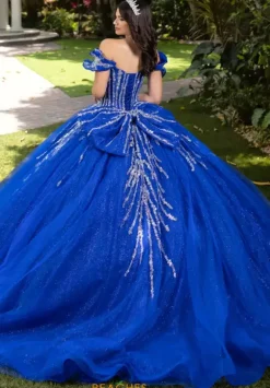 LizLuo Quinceanera 56535