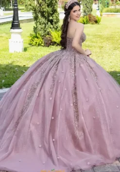 LizLuo Quinceanera 56532