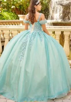 LizLuo Quinceanera 56517