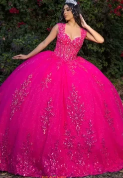 LizLuo Quinceanera 26091