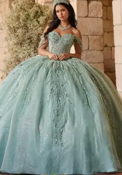 LizLuo Quinceanera 56550
