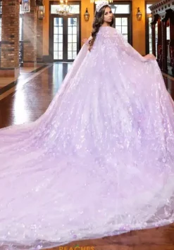 LizLuo Quinceanera 80026