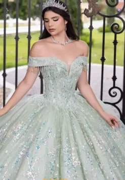 LizLuo Quinceanera 56536
