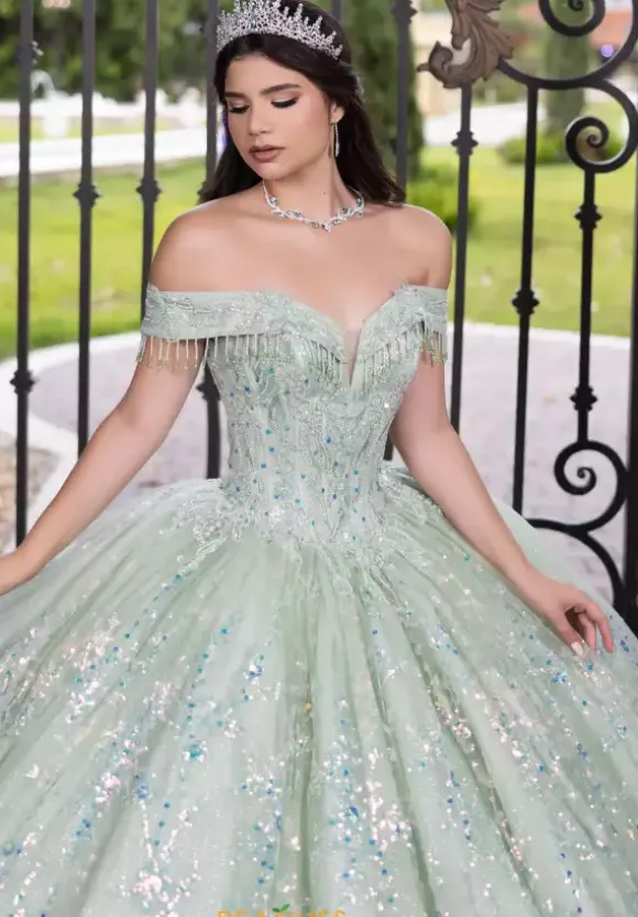 LizLuo Quinceanera 56536