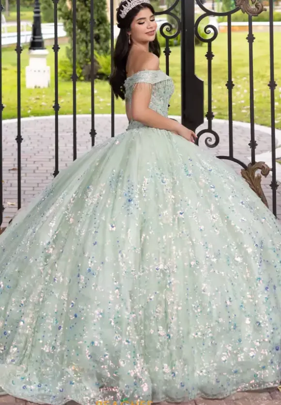 LizLuo Quinceanera 56536