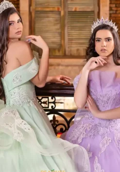 LizLuo Quinceanera 80027