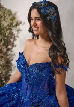 LizLuo Quinceanera 56542