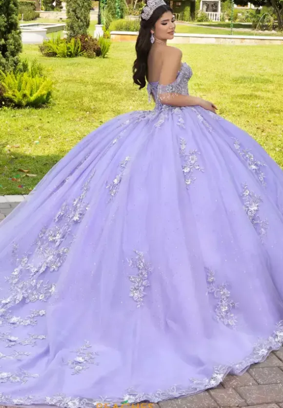 LizLuo Quinceanera 56526