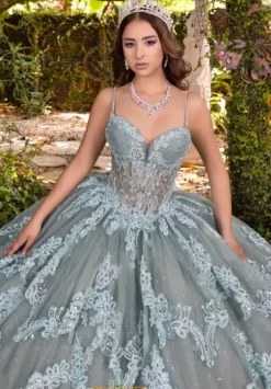 LizLuo Quinceanera 56531