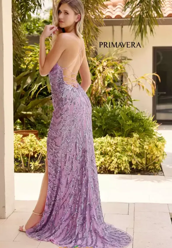 Primavera 4121