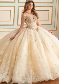 Princesa Quinceanera PR30177