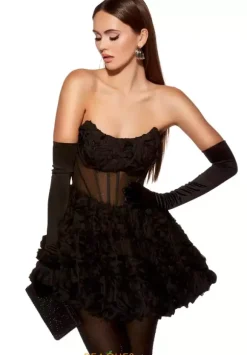 Strapless Scoop Neckline Short Dress 30077