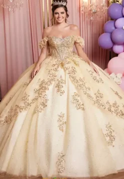 Vizcaya Quinceanera 89520
