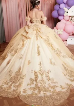 Vizcaya Quinceanera 89520