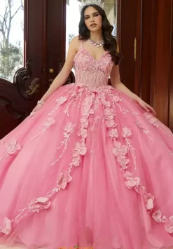 Vizcaya Quinceanera 89475