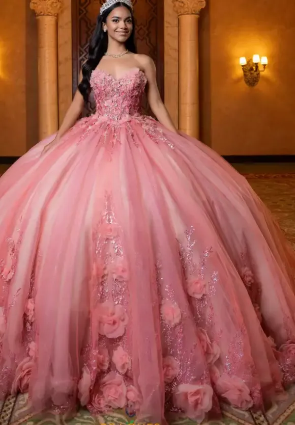 Vizcaya Quinceanera 4080032