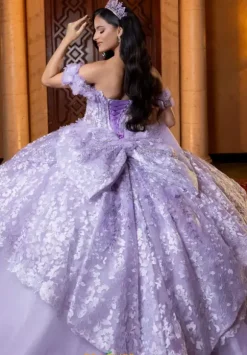 Vizcaya Quinceanera 4080032
