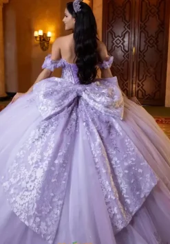 Vizcaya Quinceanera 4080032