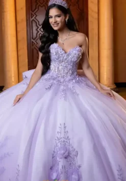 Vizcaya Quinceanera 4080032