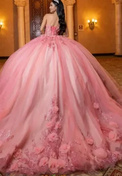 Vizcaya Quinceanera 4080032