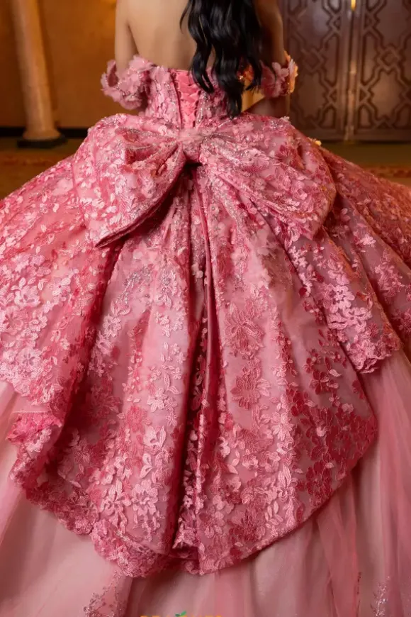 Vizcaya Quinceanera 4080032