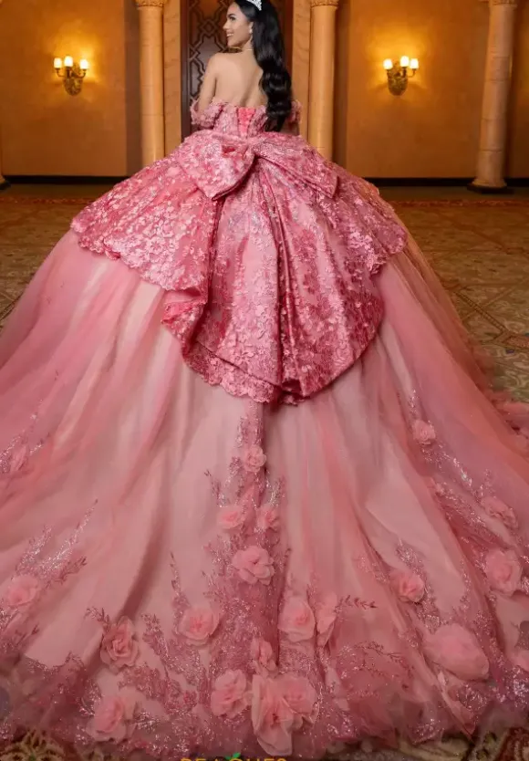 Vizcaya Quinceanera 4080032