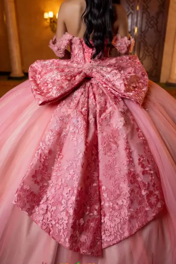 Vizcaya Quinceanera 4080032