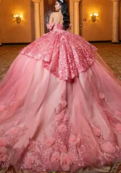 Vizcaya Quinceanera 4080032