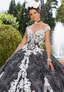 Vizcaya Quinceanera 34042