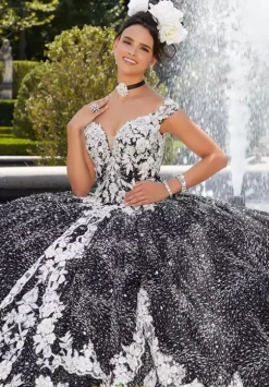 Vizcaya Quinceanera 34042