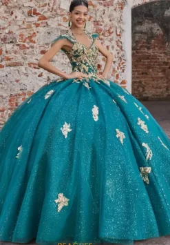 Vizcaya Quinceanera 89533