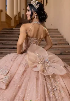 Vizcaya Quinceanera 4080002