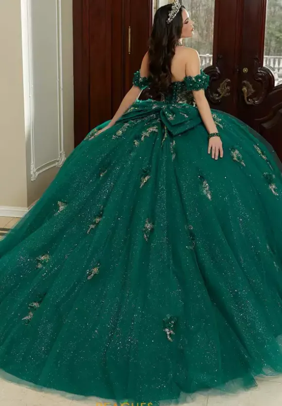 Vizcaya Quinceanera 89473