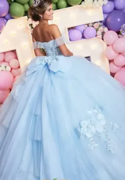 Vizcaya Quinceanera 89522
