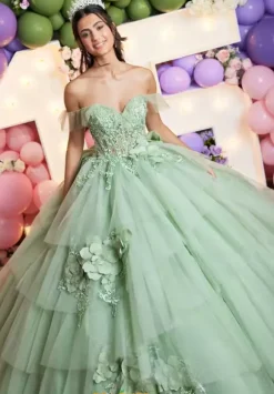 Vizcaya Quinceanera 89522