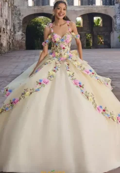 Vizcaya Quinceanera 89545