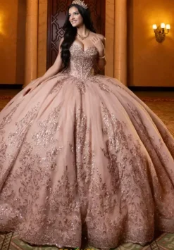 Vizcaya Quinceanera 4080013