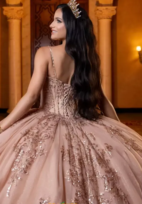 Vizcaya Quinceanera 4080013