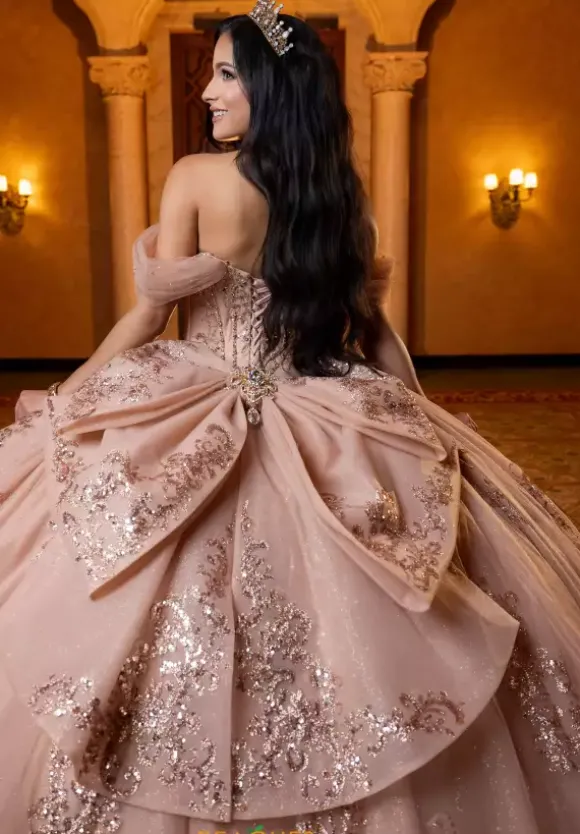 Vizcaya Quinceanera 4080013